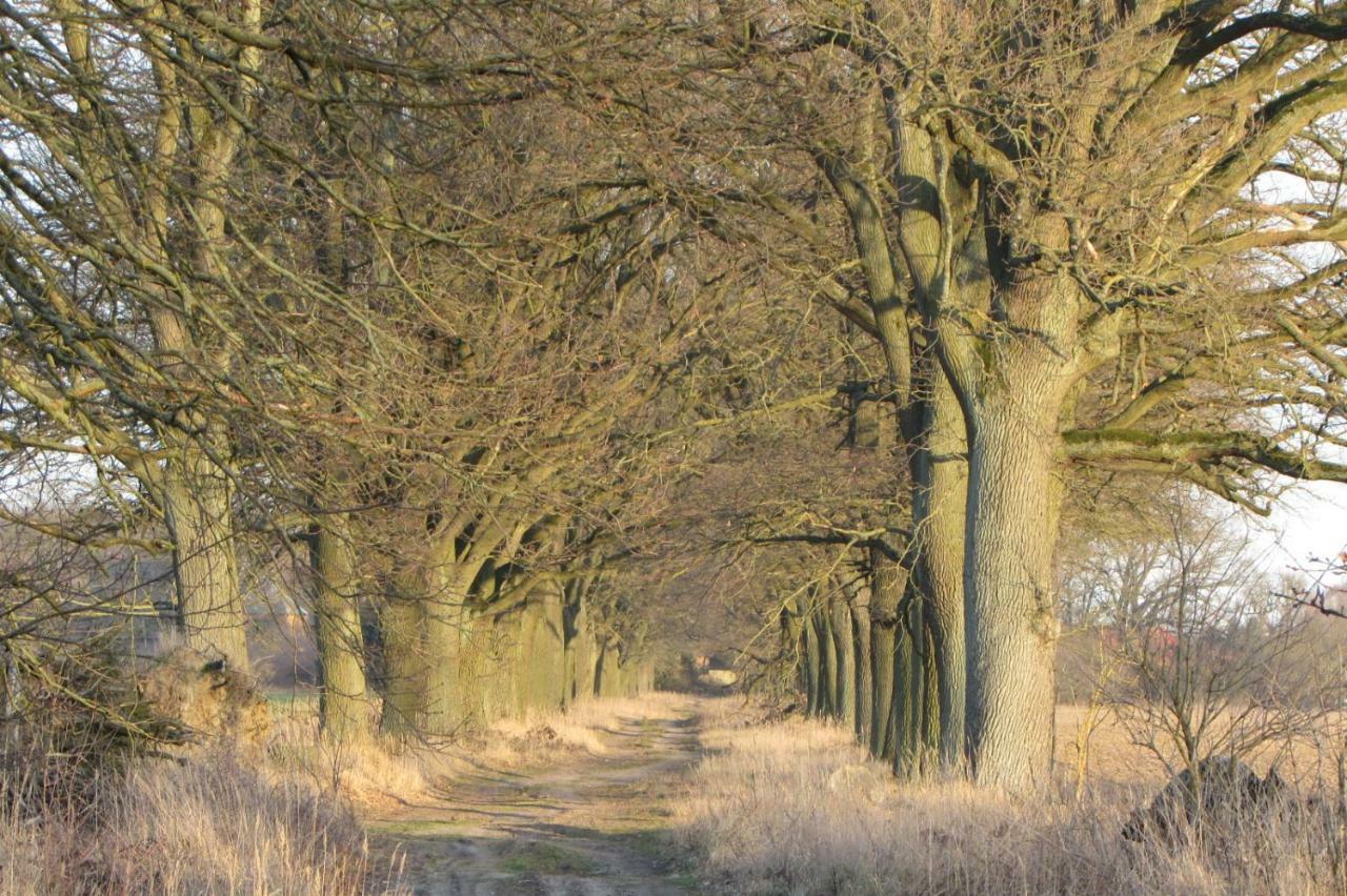 Homestay Radlerzimmer Strasen